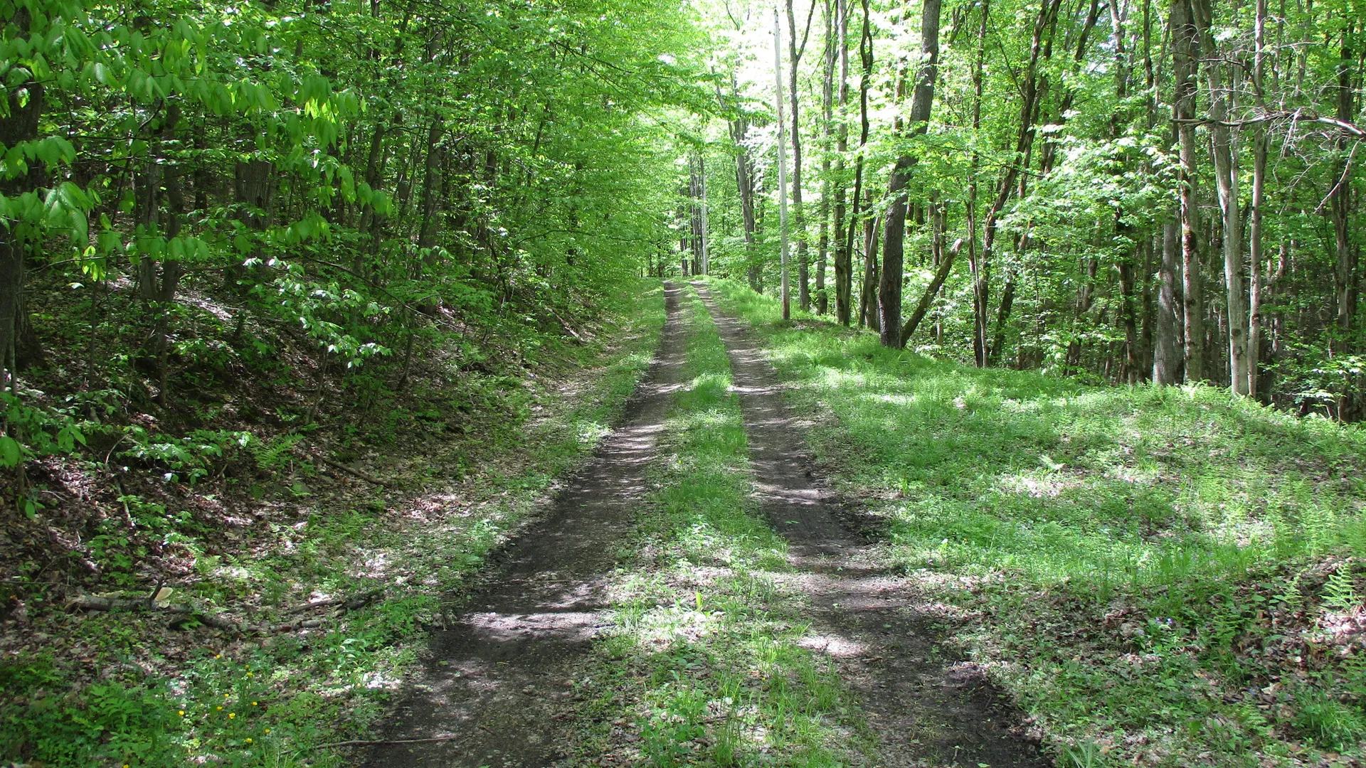 Property at Union Valley Road, Hinsdale, NY 14743 30