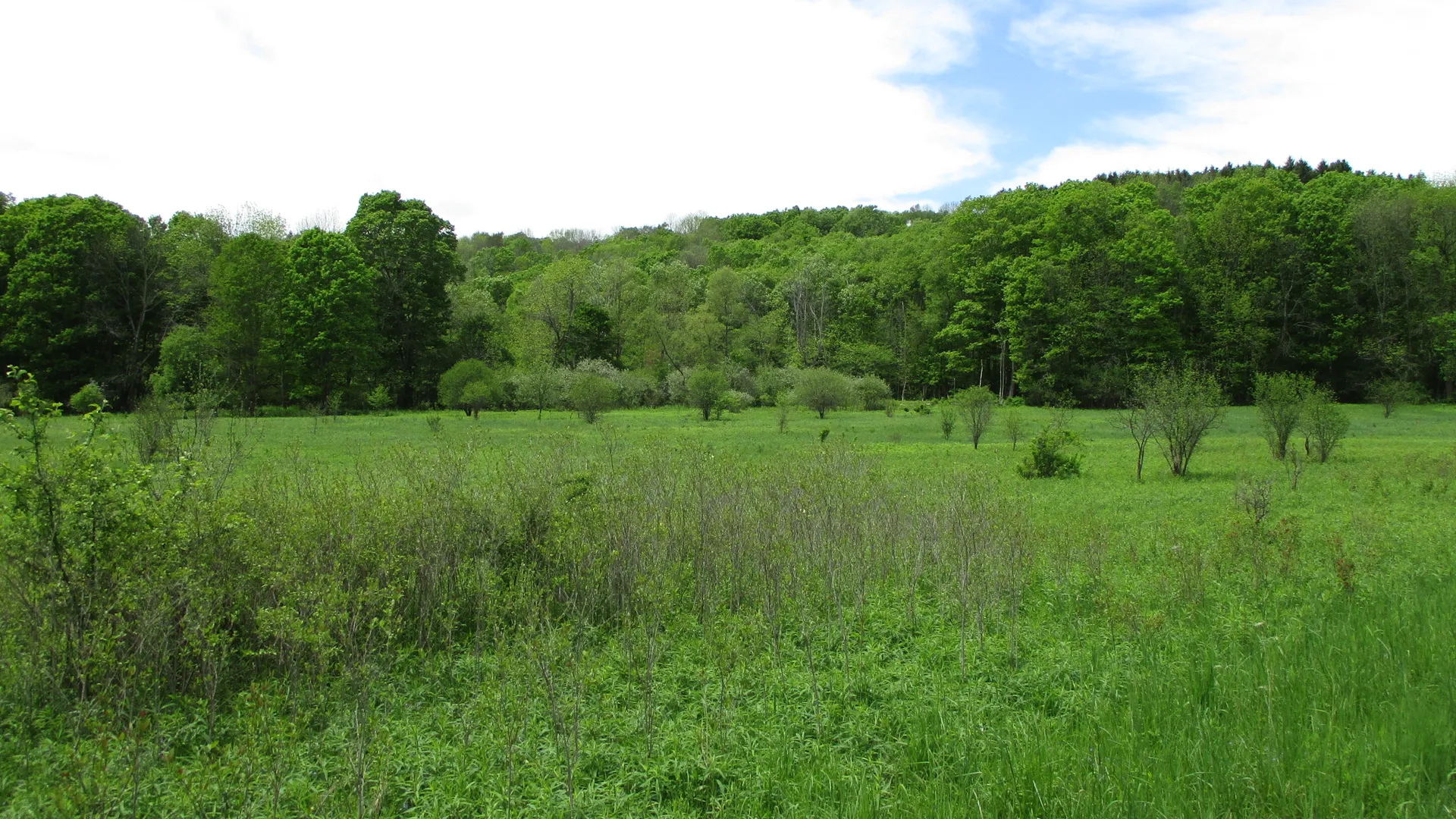 Property at Union Valley Road, Hinsdale, NY 14743 31