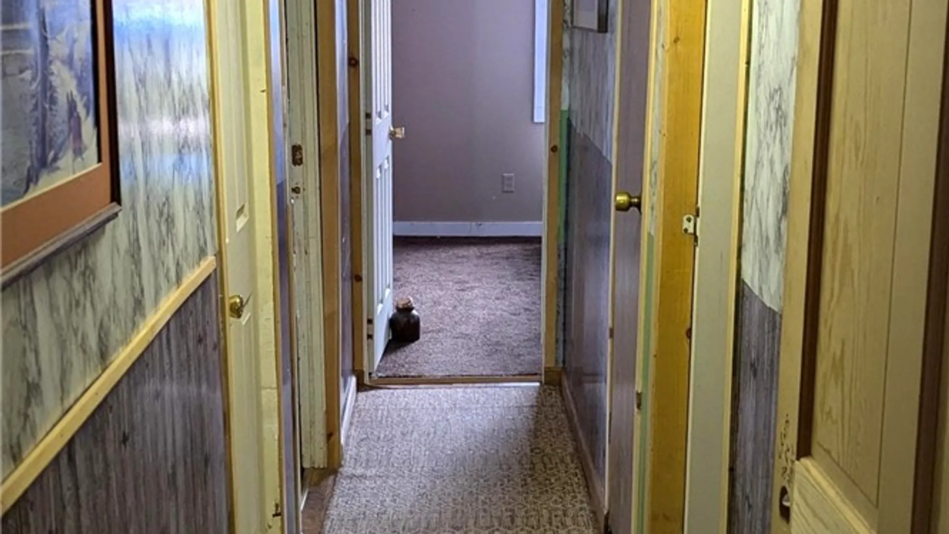 Property at 488 River Street, Kortright, NY 13739 21