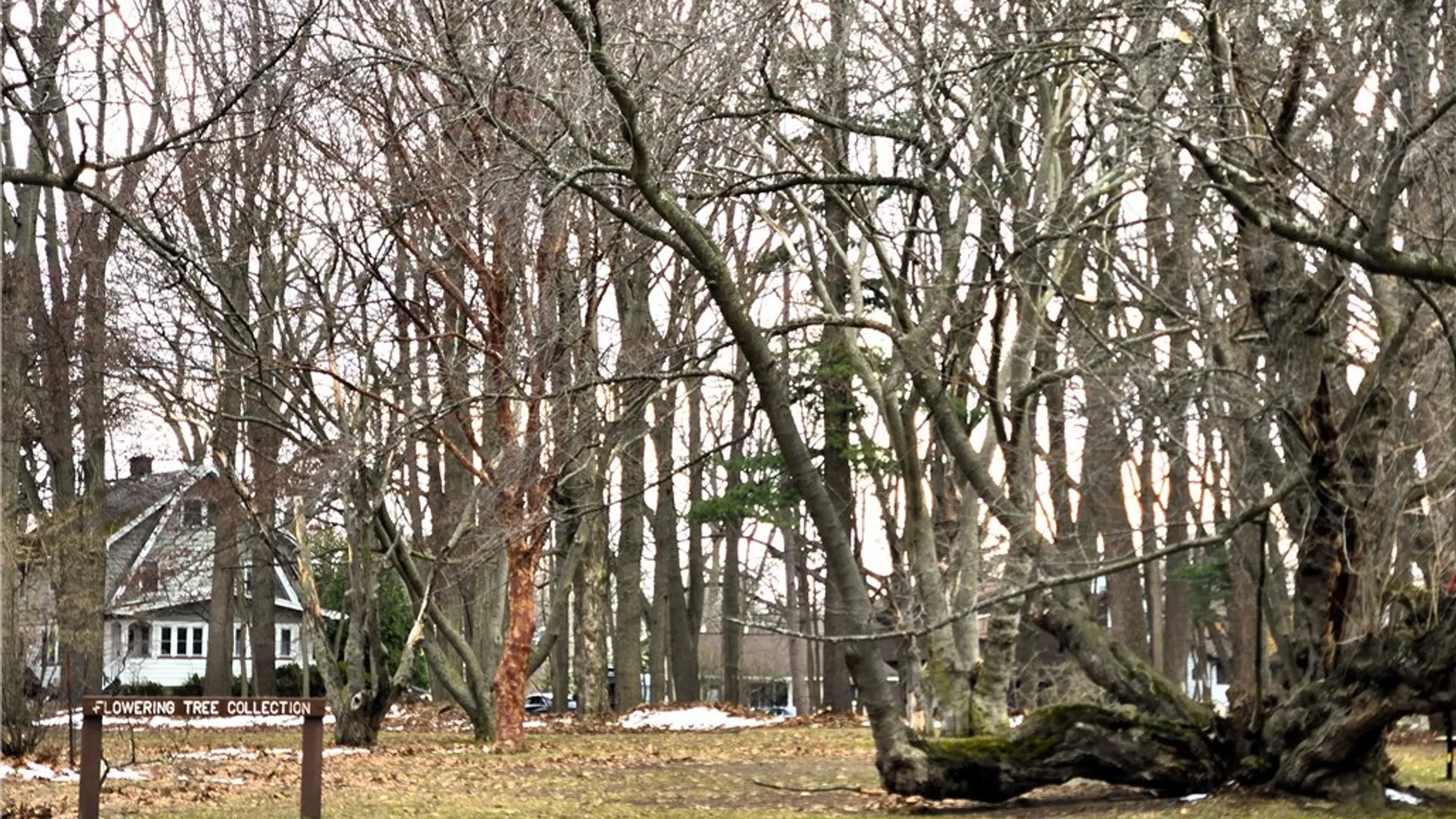 Property at 163 Park Road, Irondequoit, NY 14622 18