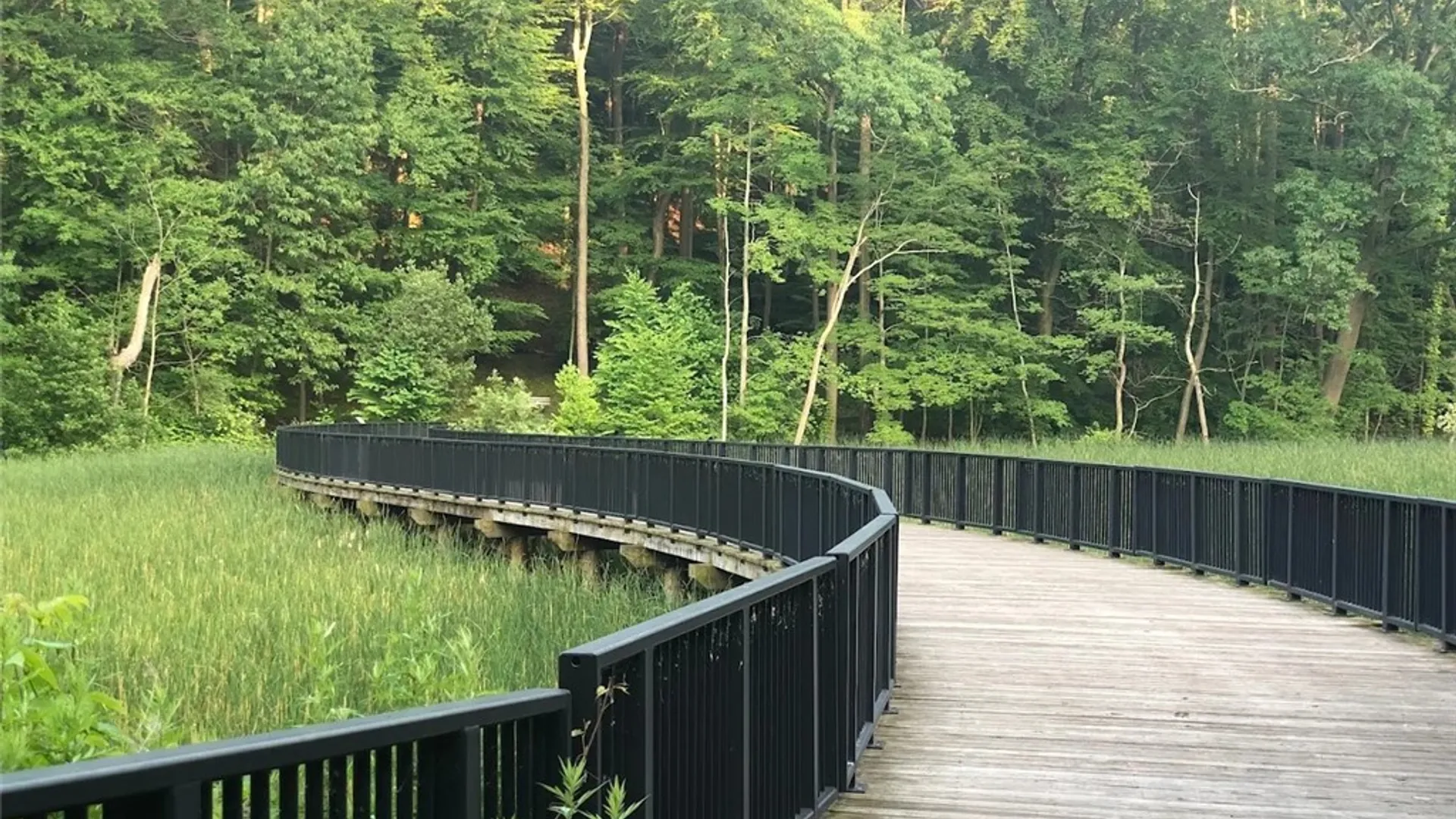 Property at 163 Park Road, Irondequoit, NY 14622 21