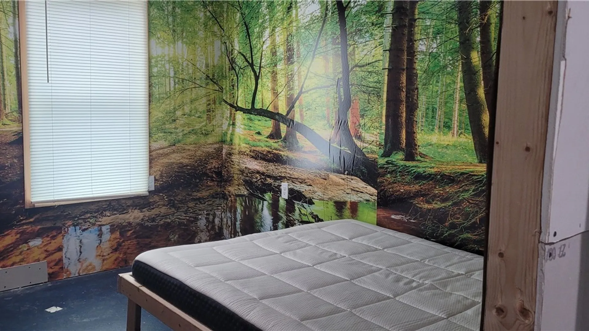 Property at 6551 State Route 3, Mexico, NY 13114 12