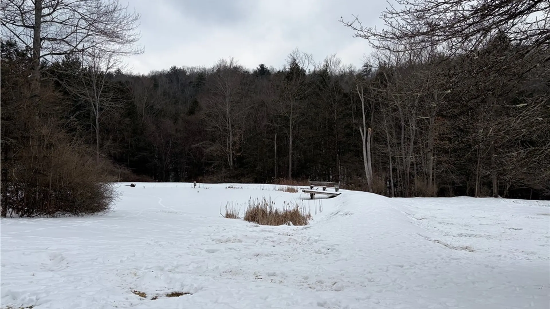 Property at 2213 Brown Hollow Road, Corning, NY 14830 30