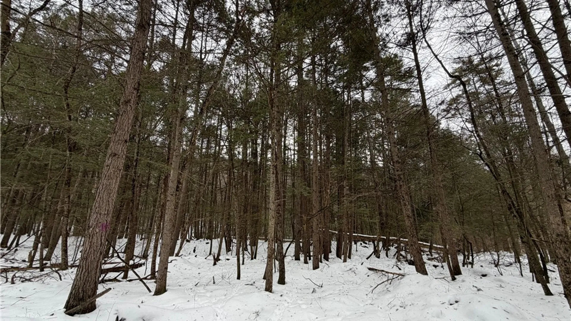 Property at 2213 Brown Hollow Road, Corning, NY 14830 31