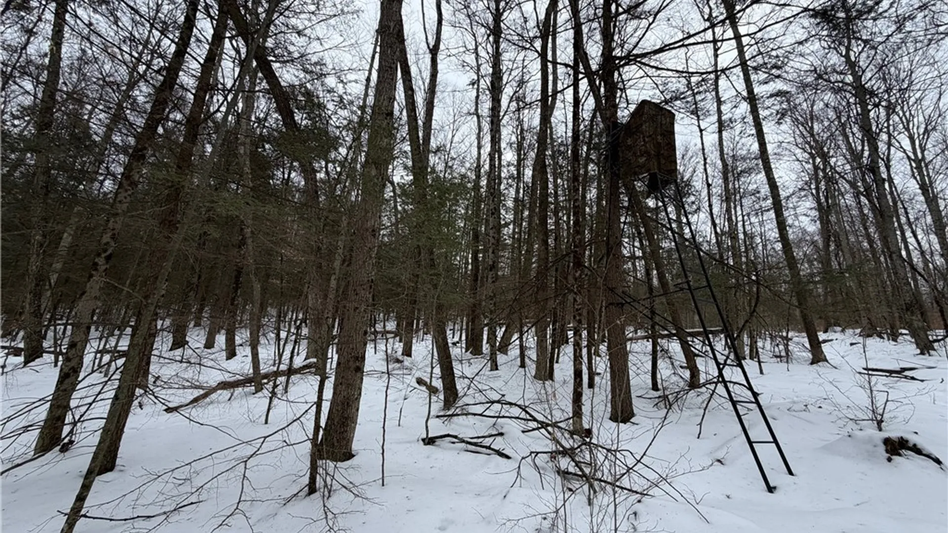 Property at 2213 Brown Hollow Road, Corning, NY 14830 33