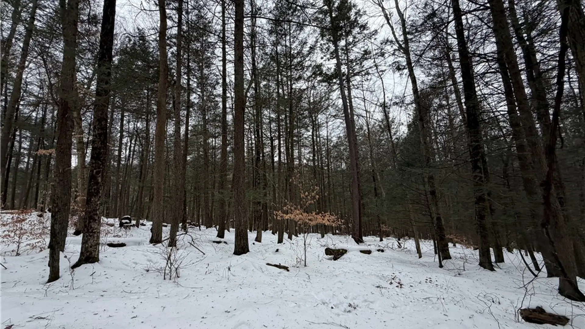 Property at 2213 Brown Hollow Road, Corning, NY 14830 34