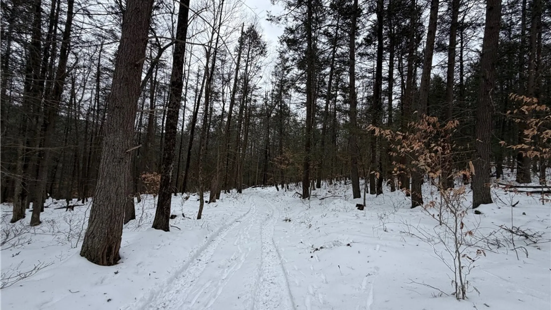 Property at 2213 Brown Hollow Road, Corning, NY 14830 35