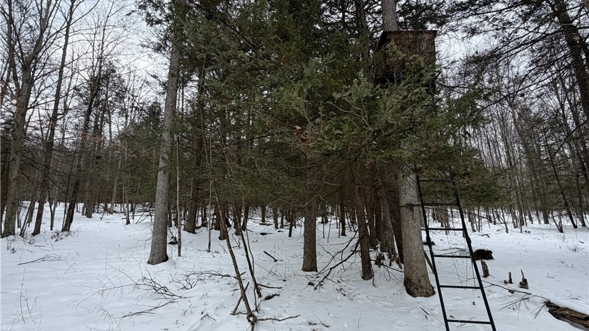 Property at 2213 Brown Hollow Road, Corning, NY 14830 37