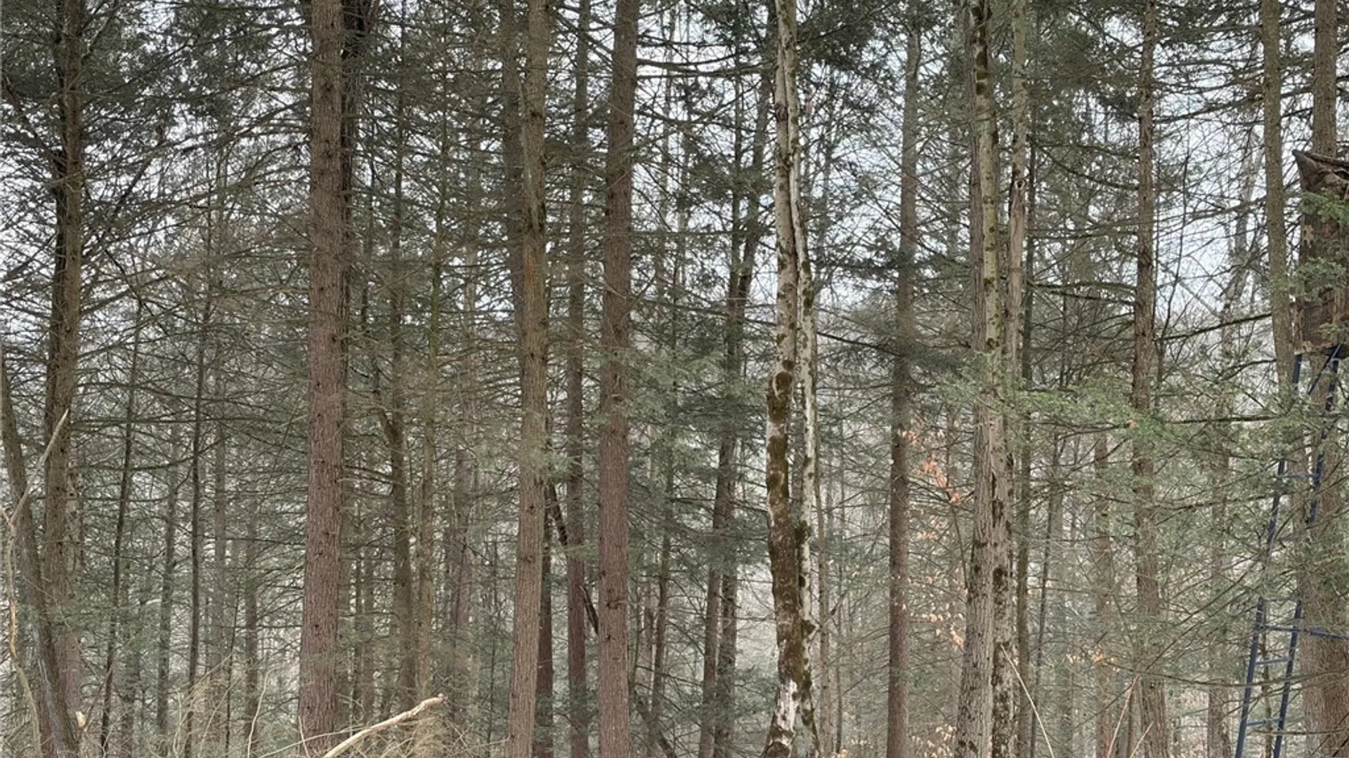 Property at 2213 Brown Hollow Road, Corning, NY 14830 38