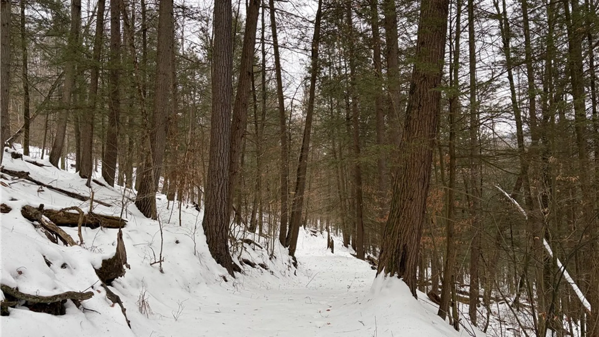 Property at 2213 Brown Hollow Road, Corning, NY 14830 40