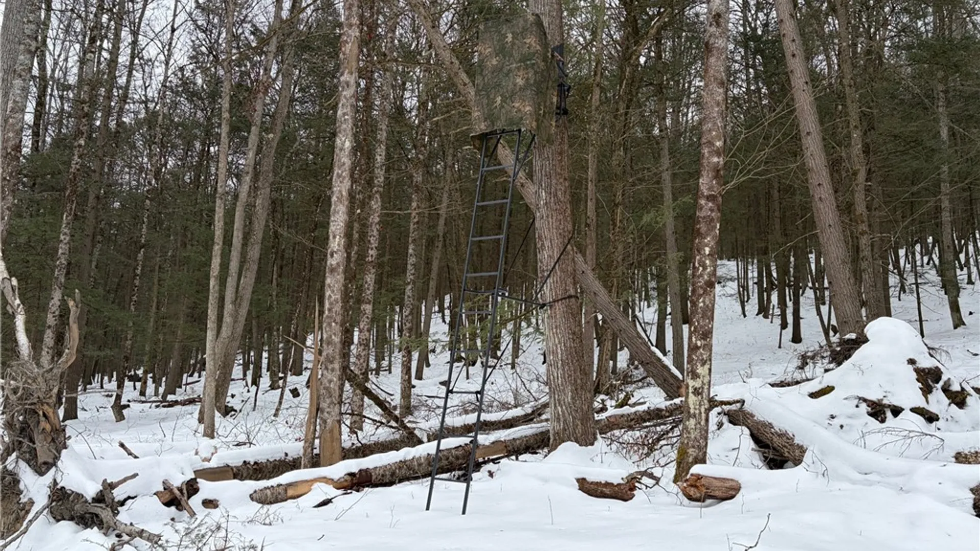 Property at 2213 Brown Hollow Road, Corning, NY 14830 41