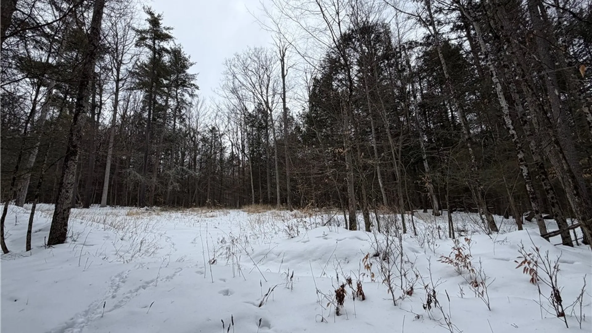 Property at 2213 Brown Hollow Road, Corning, NY 14830 42