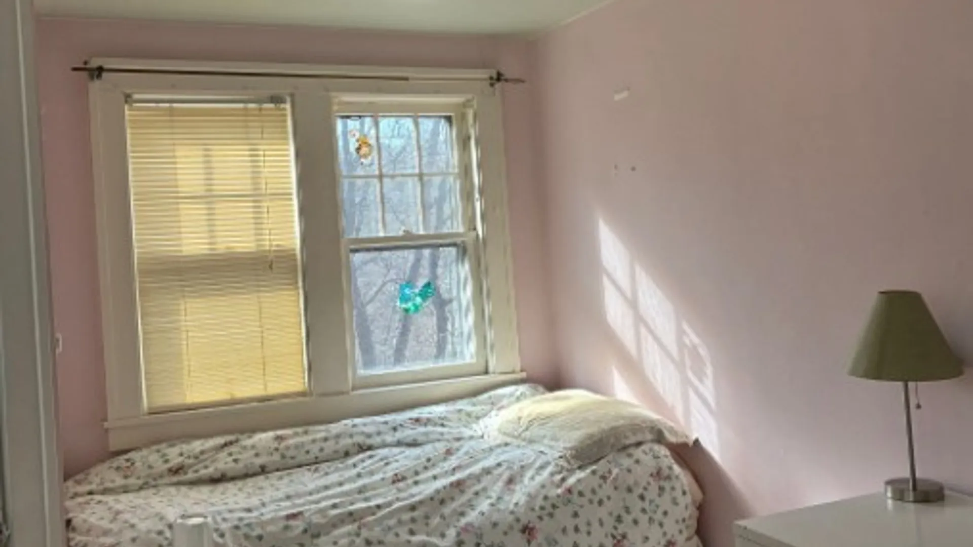 Property at 115 Ferris Place, Ithaca City, NY 14850 19