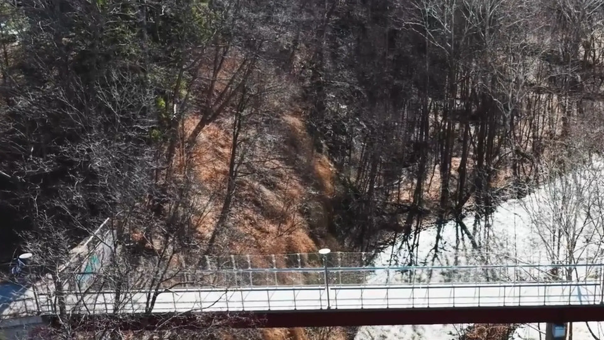 Property at 115 Ferris Place, Ithaca City, NY 14850 30