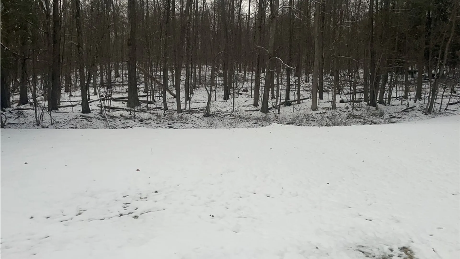 Property at 9 Mount Pleasant Drive, Bainbridge, NY 13733 38