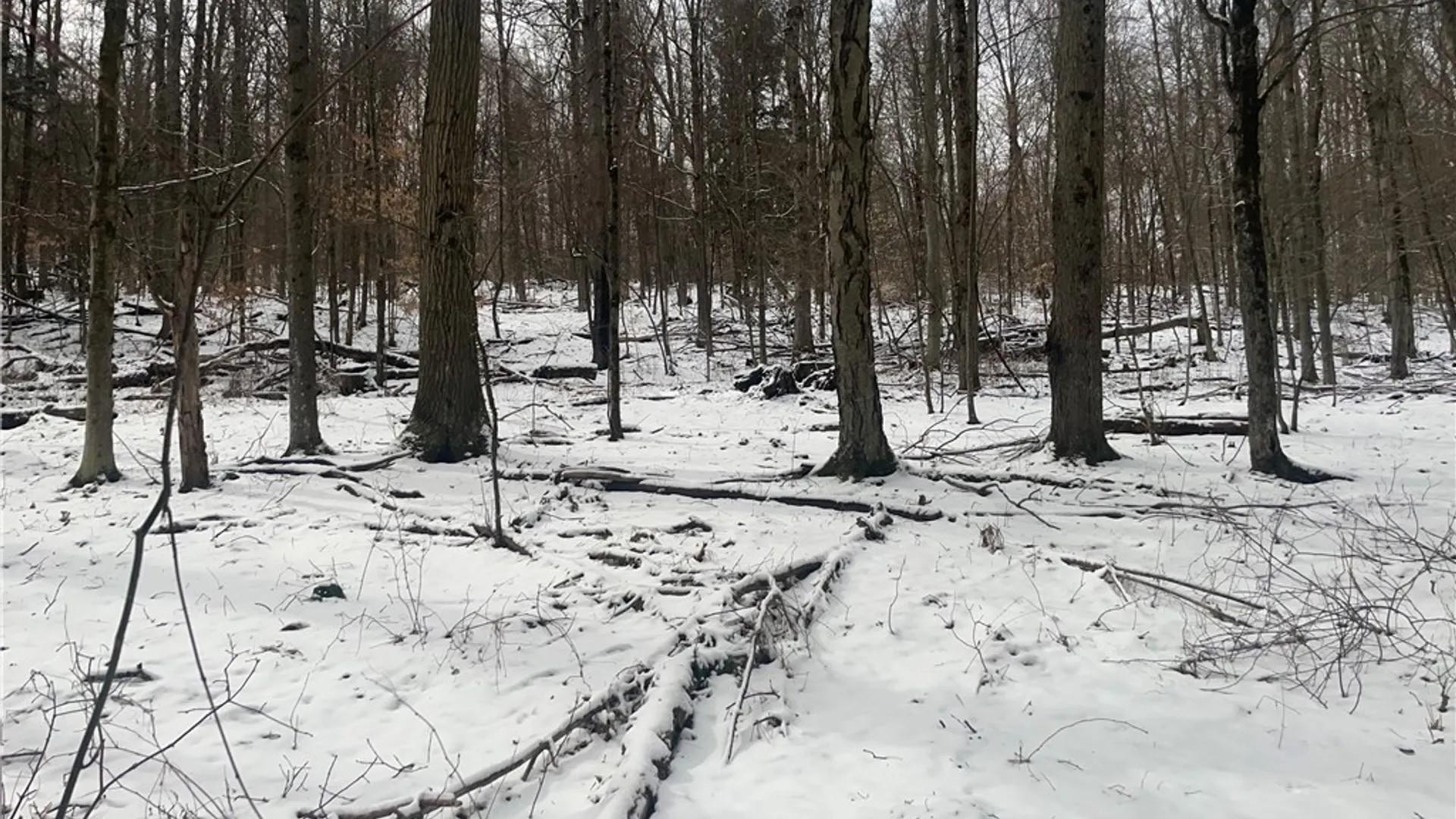 Property at 9 Mount Pleasant Drive, Bainbridge, NY 13733 39