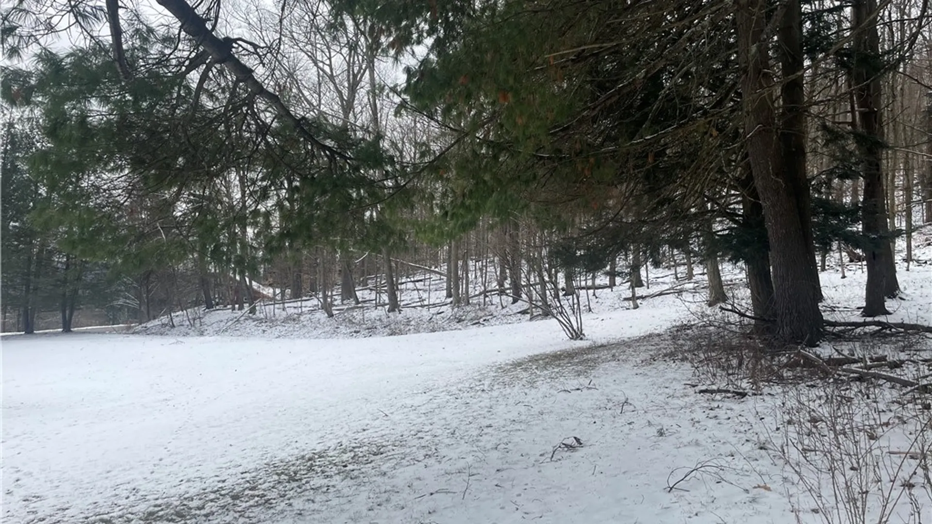 Property at 9 Mount Pleasant Drive, Bainbridge, NY 13733 40