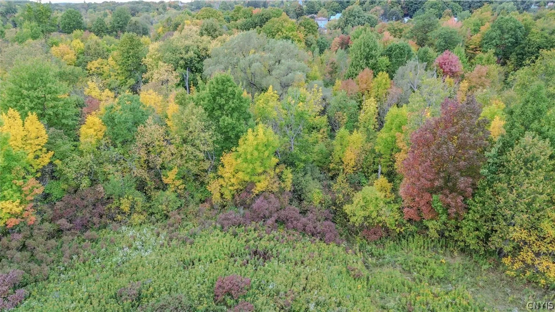 Property at Lexington Avenue, Antwerp, NY 13608 10