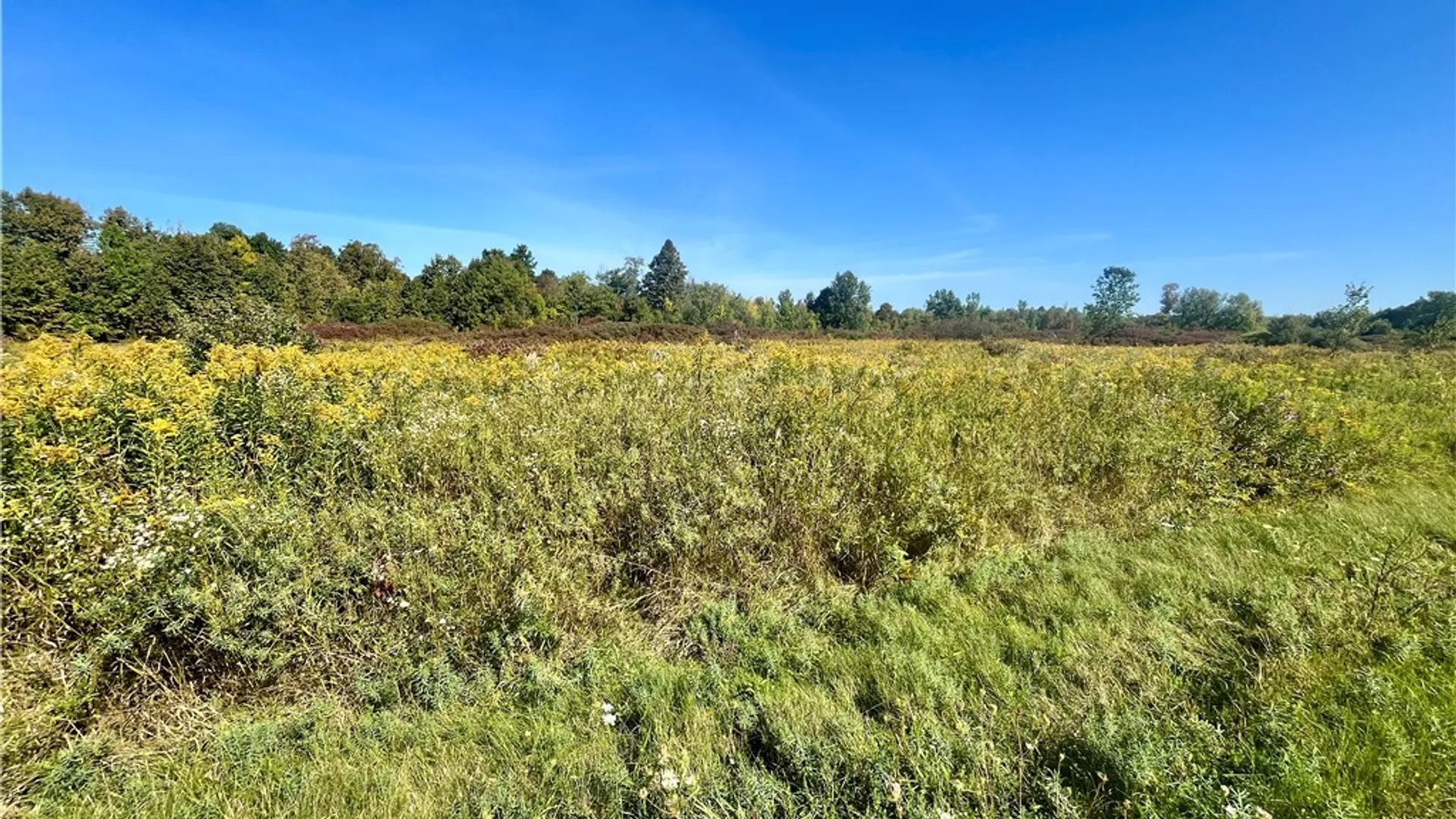 Property at Lexington Avenue, Antwerp, NY 13608 11