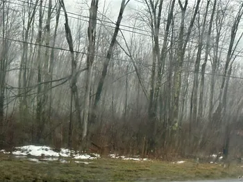 Route 13 N, Vienna, NY 13308