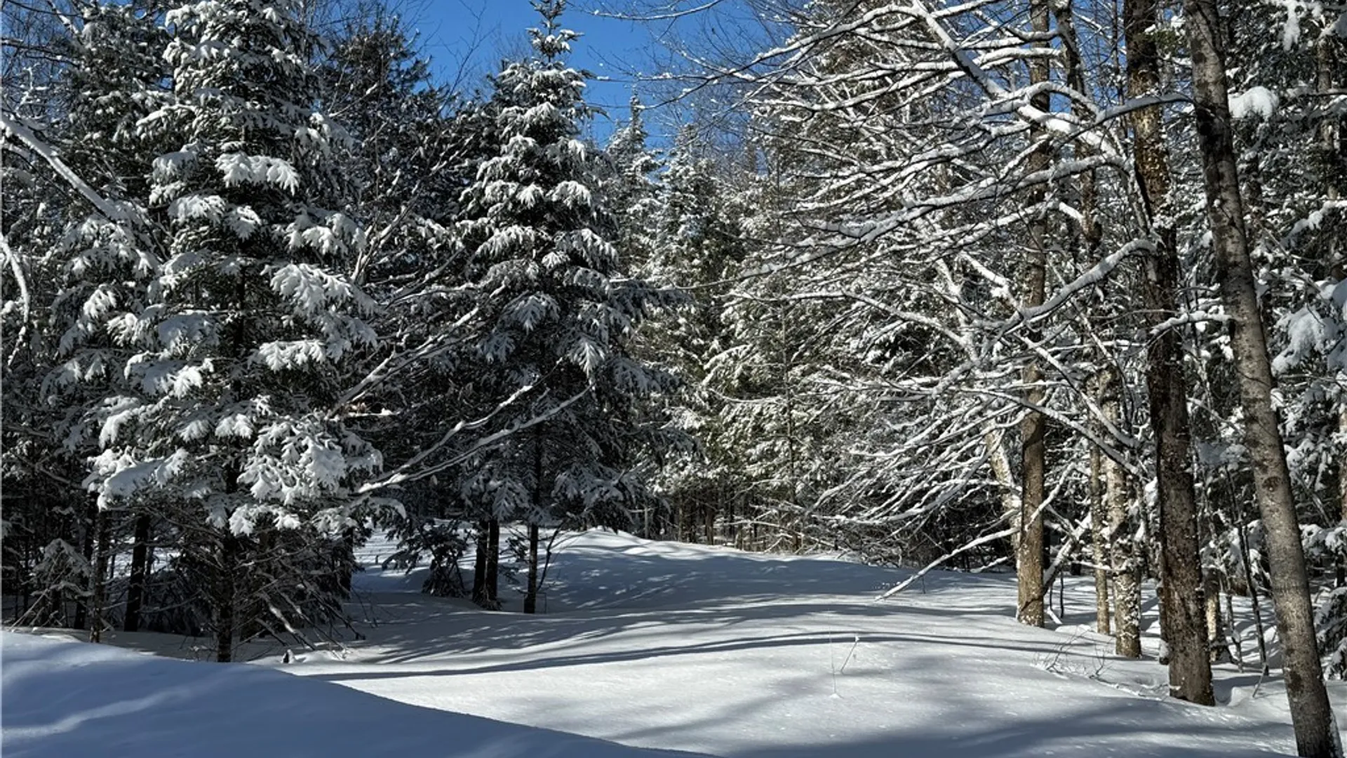 Property at 9971 Welsh District Road, Remsen, NY 13438 2