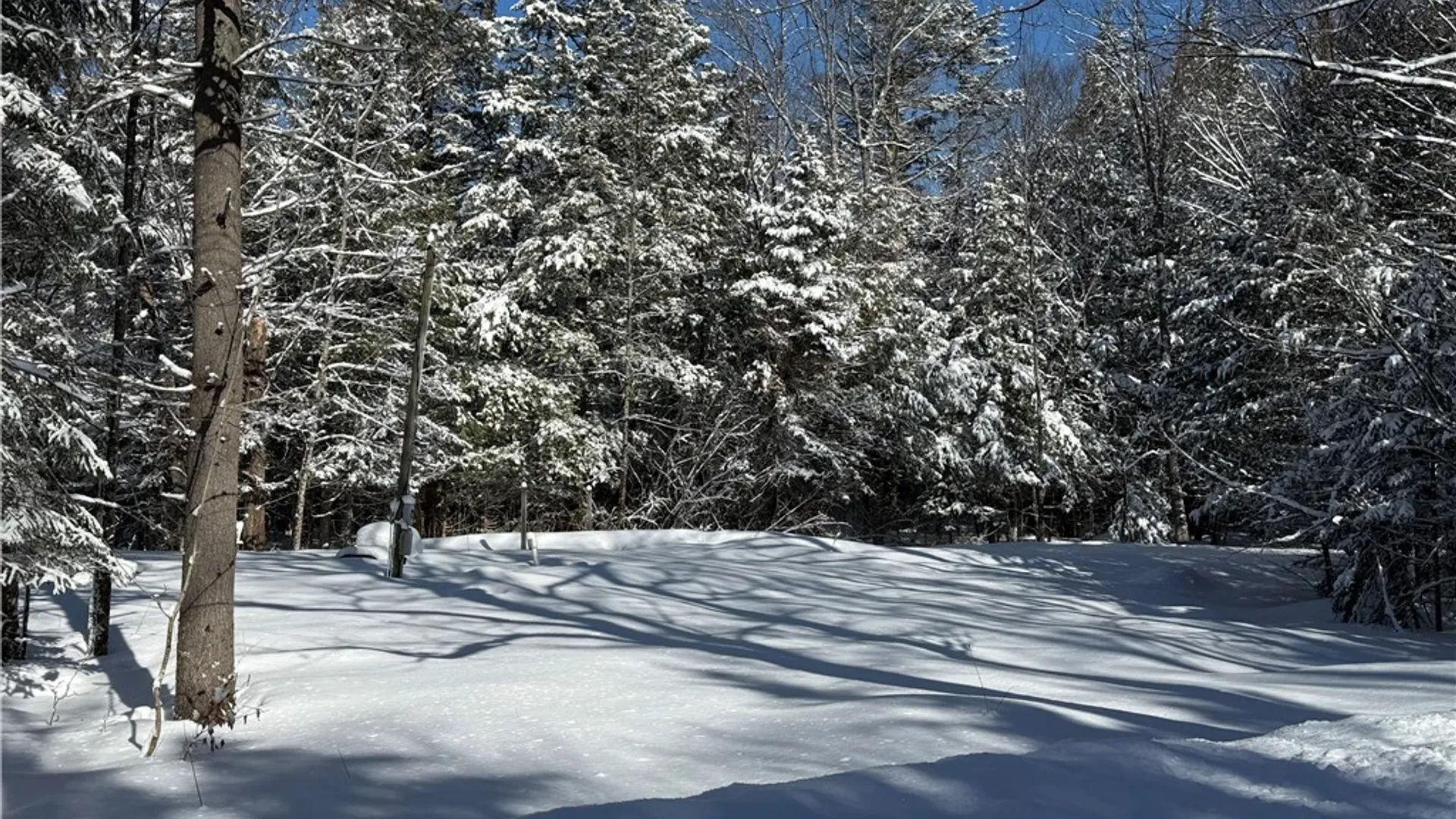 Property at 9971 Welsh District Road, Remsen, NY 13438 3