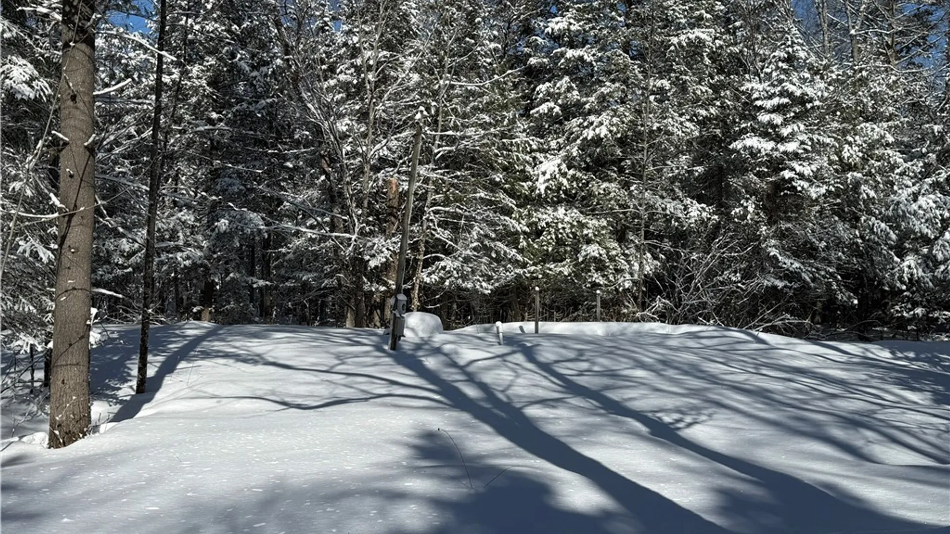 Property at 9971 Welsh District Road, Remsen, NY 13438 4