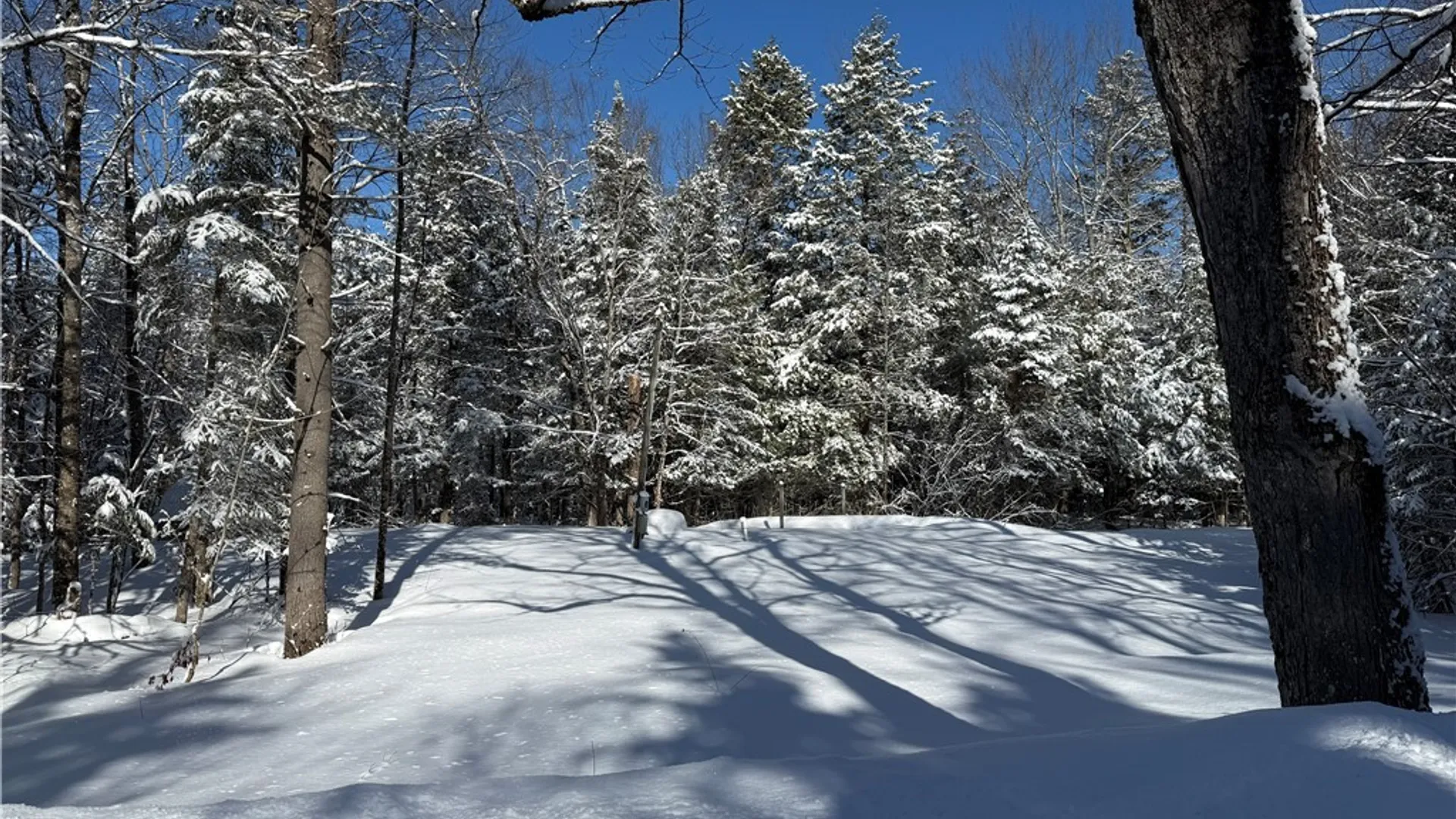 Property at 9971 Welsh District Road, Remsen, NY 13438 5