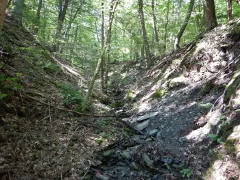 Property at Starks road, Newfield, NY 14867