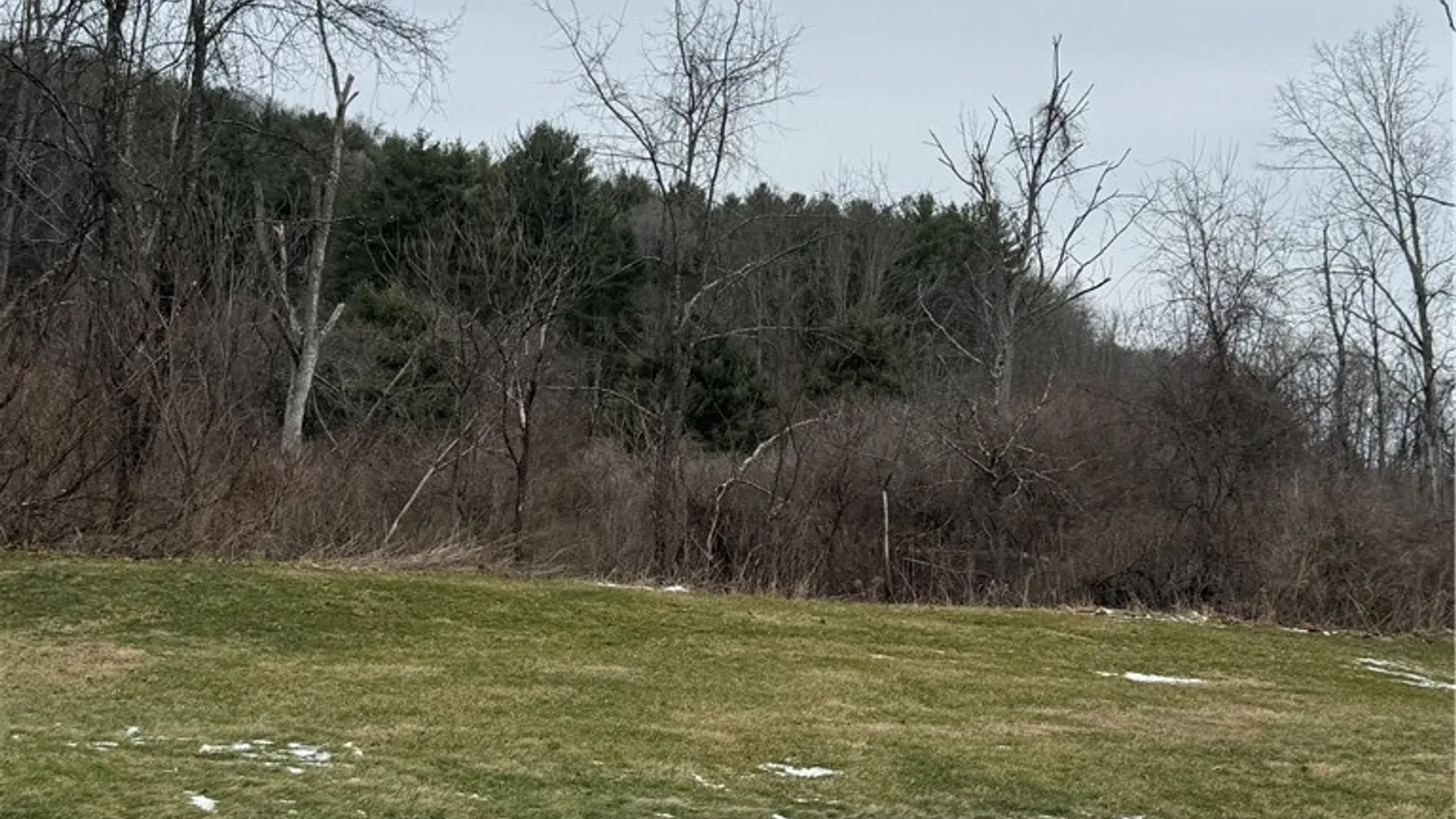 Property at 186 Diamond Valley Road, Tioga, NY 13734 2