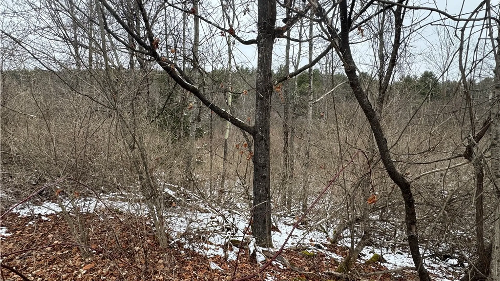 Property at 186 Diamond Valley Road, Tioga, NY 13734 28