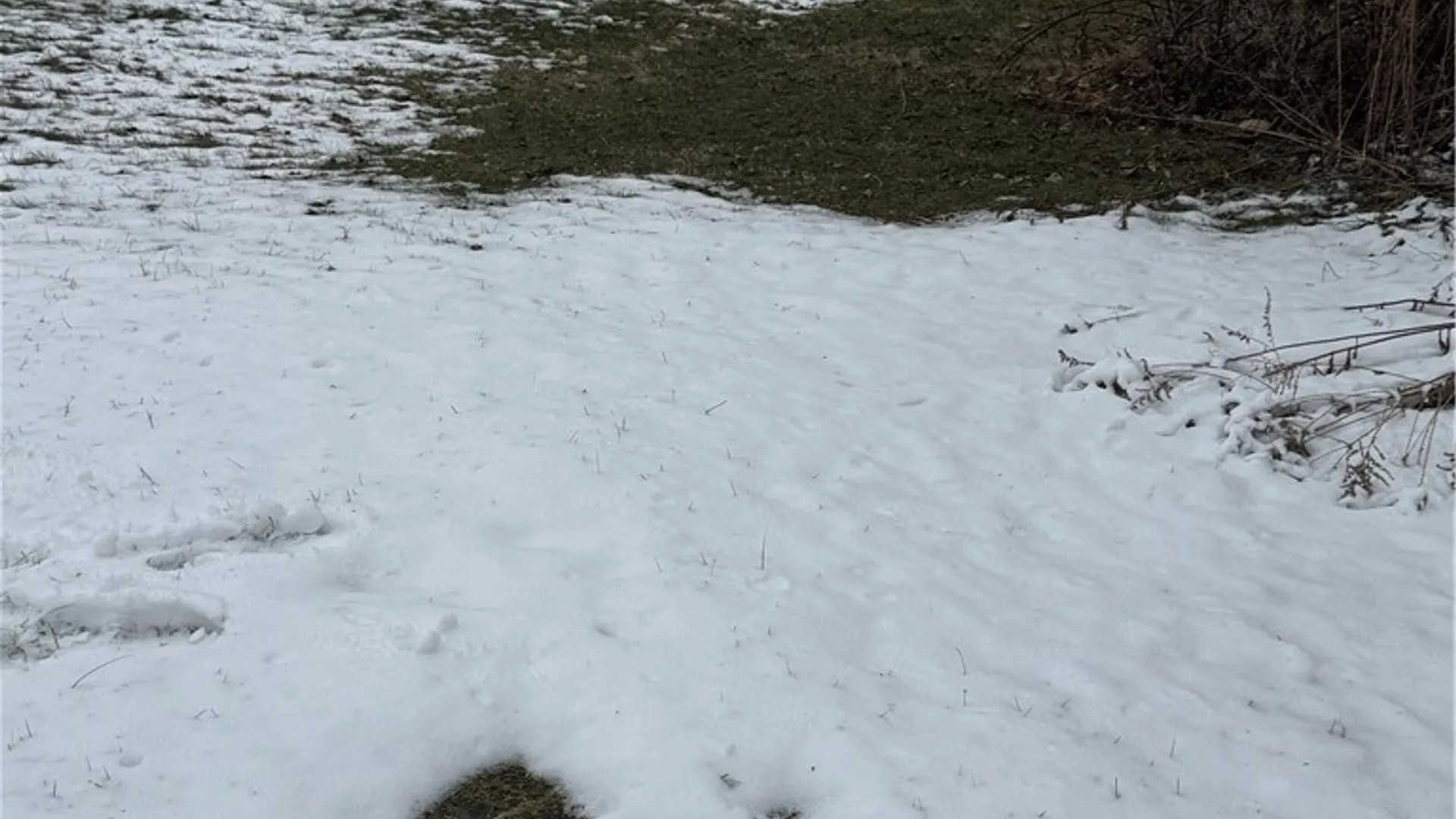 Property at 186 Diamond Valley Road, Tioga, NY 13734 5