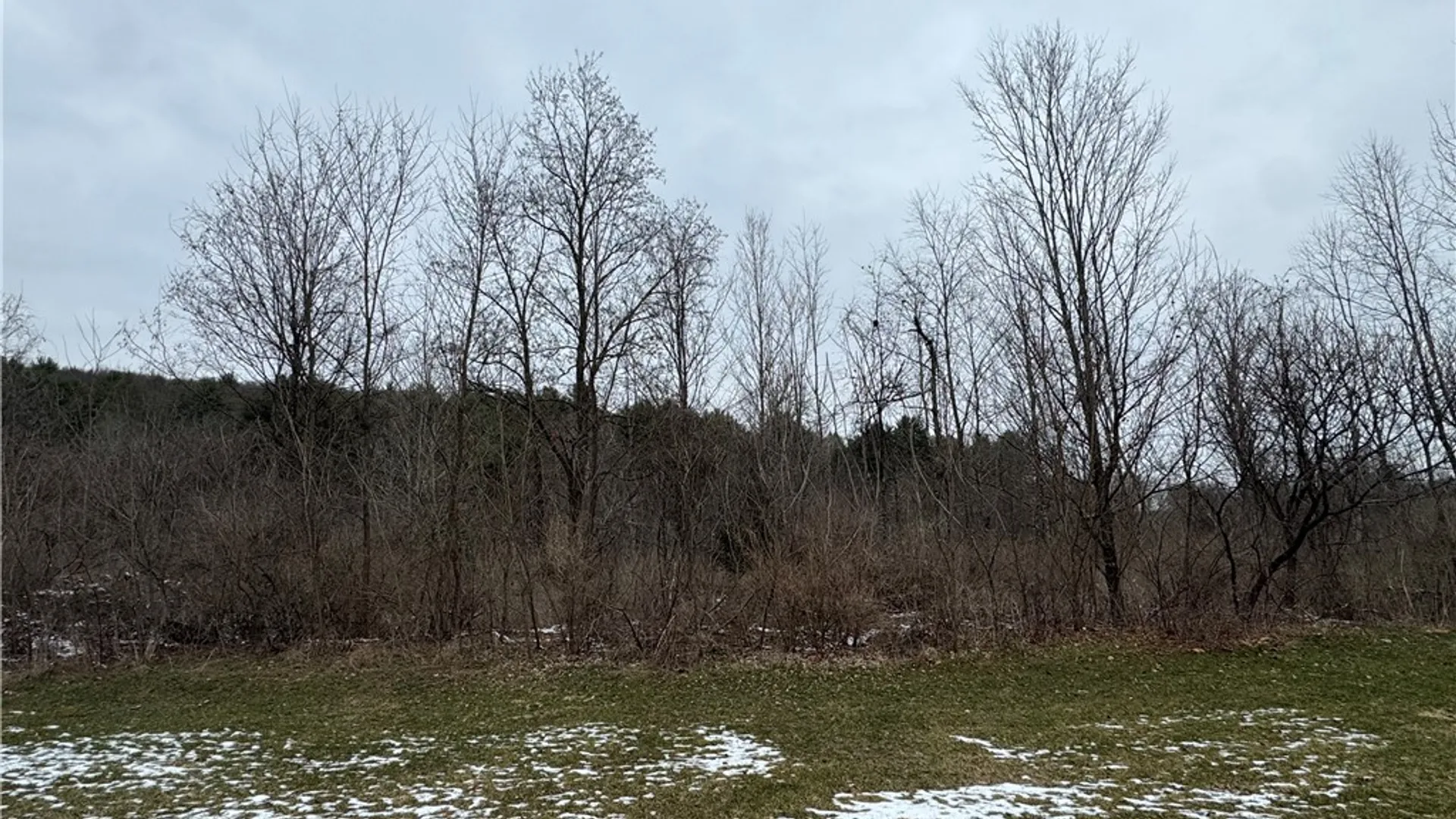 Property at 186 Diamond Valley Road, Tioga, NY 13734 8