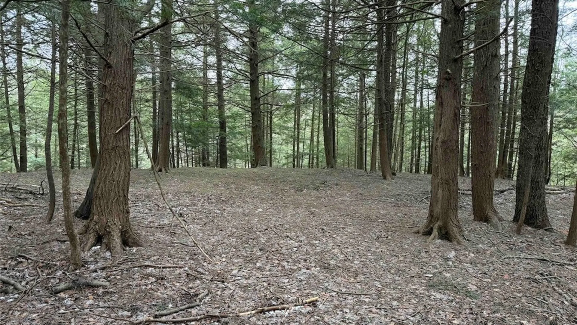 Property at Emerson Road, Ashford, NY 14171 17