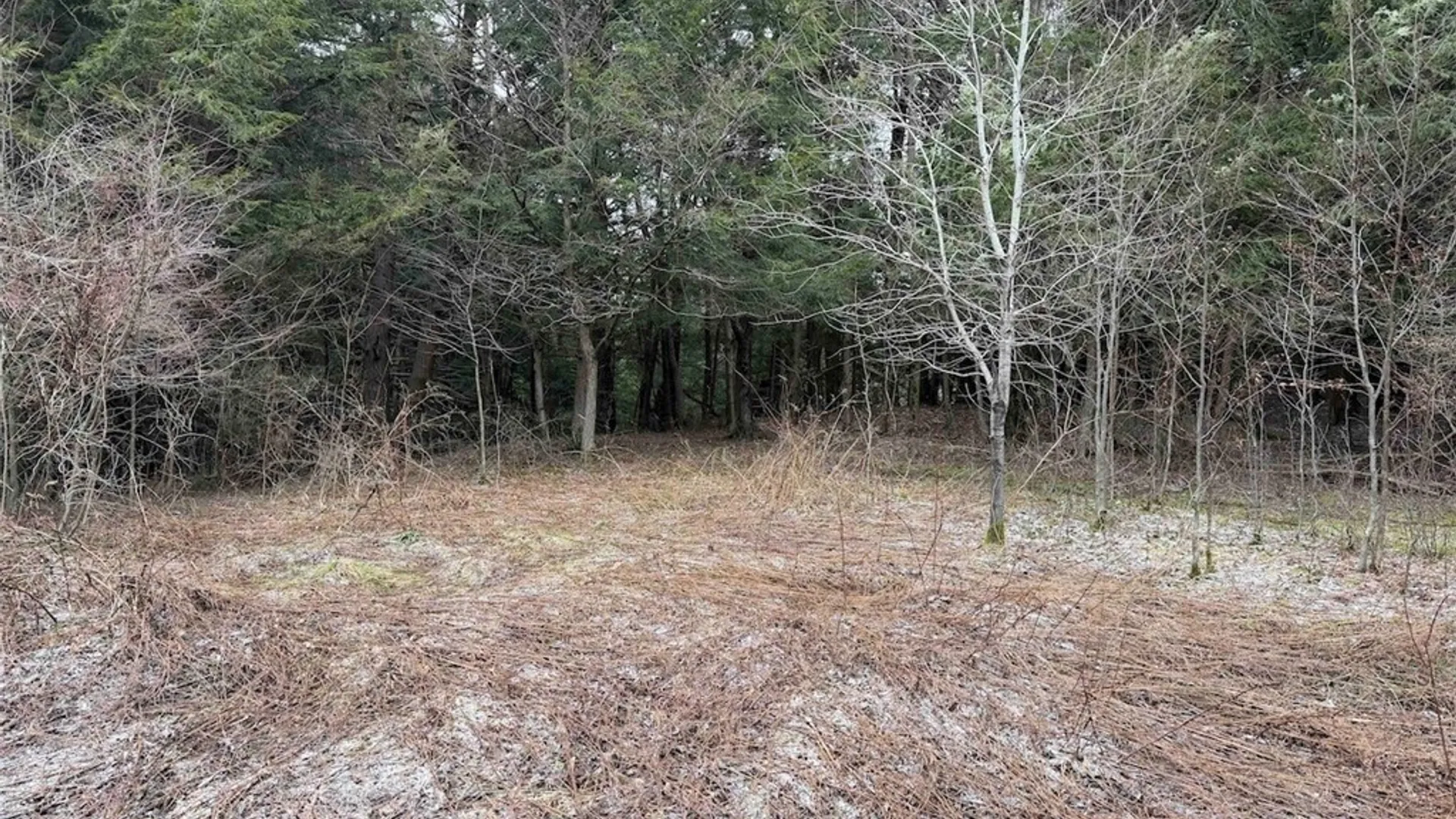 Property at Emerson Road, Ashford, NY 14171 18