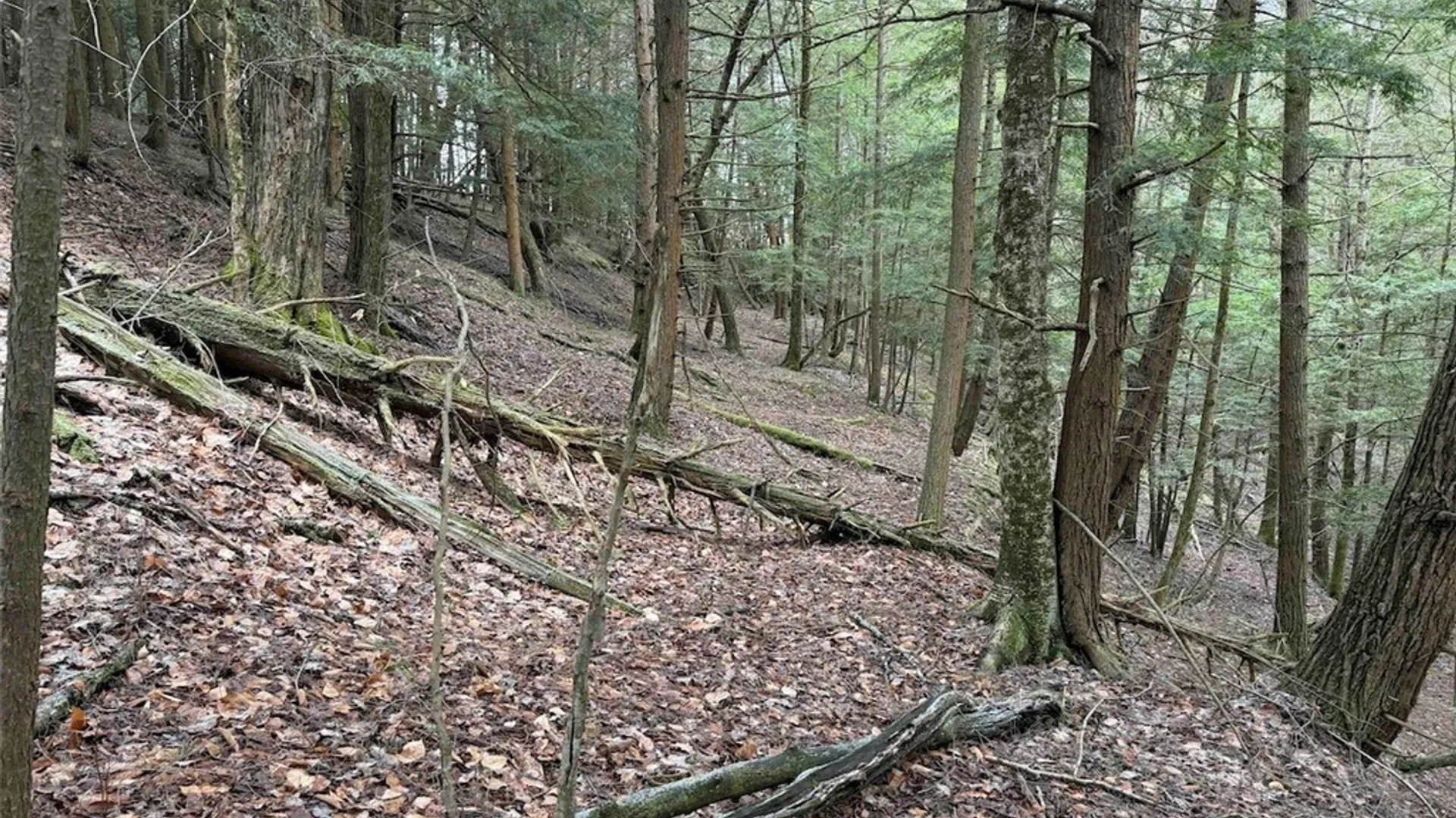 Property at Emerson Road, Ashford, NY 14171 21