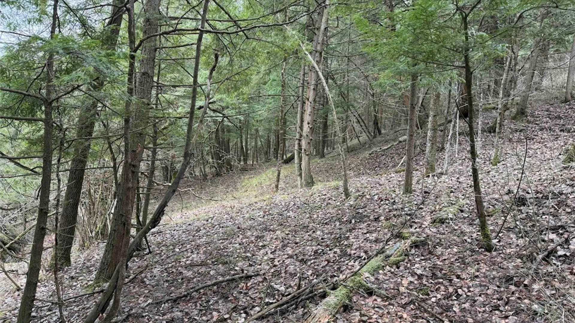 Property at Emerson Road, Ashford, NY 14171 8