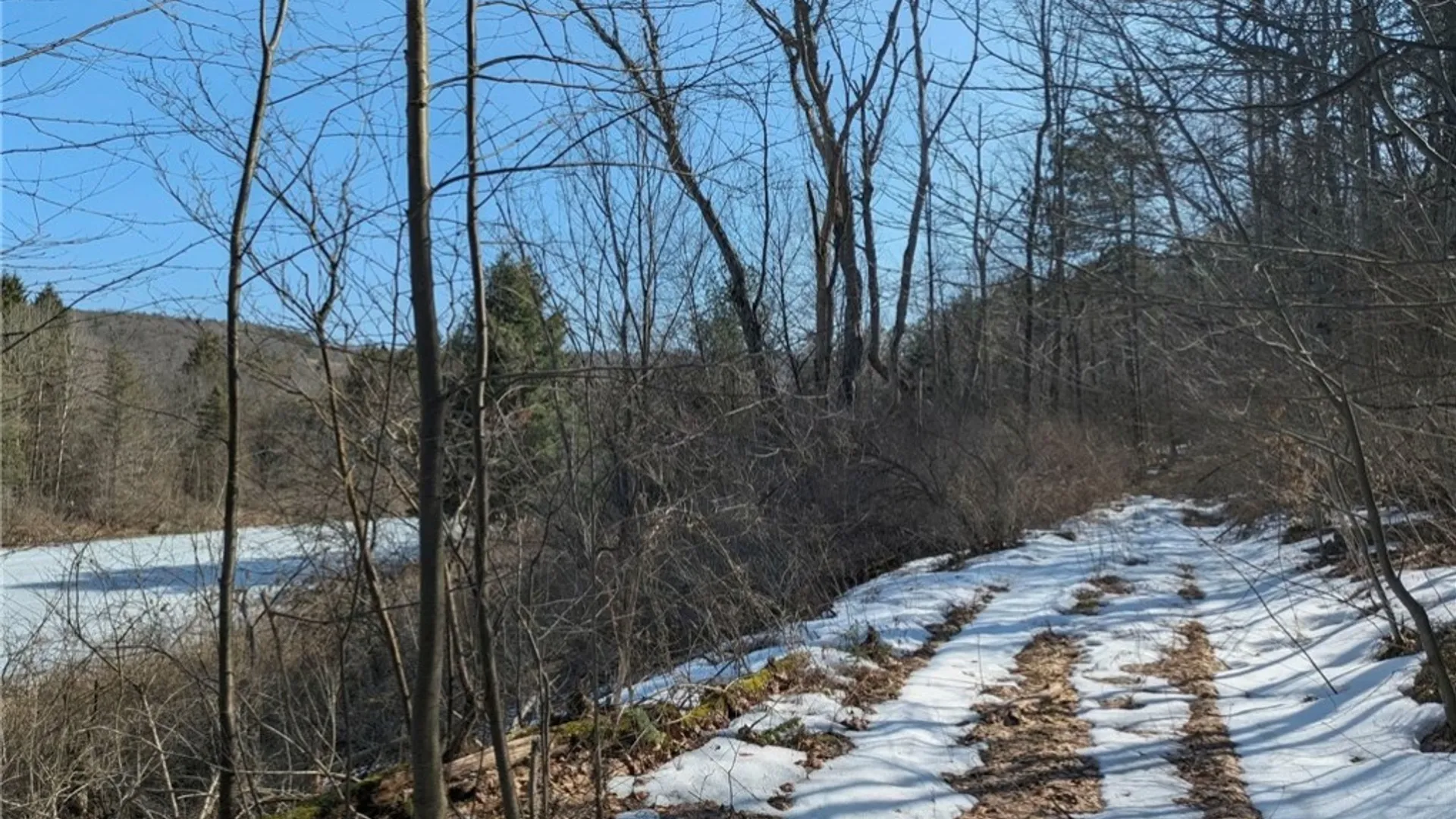 Property at 0 Old Seventy Six Road, Caroline, NY 14817 10