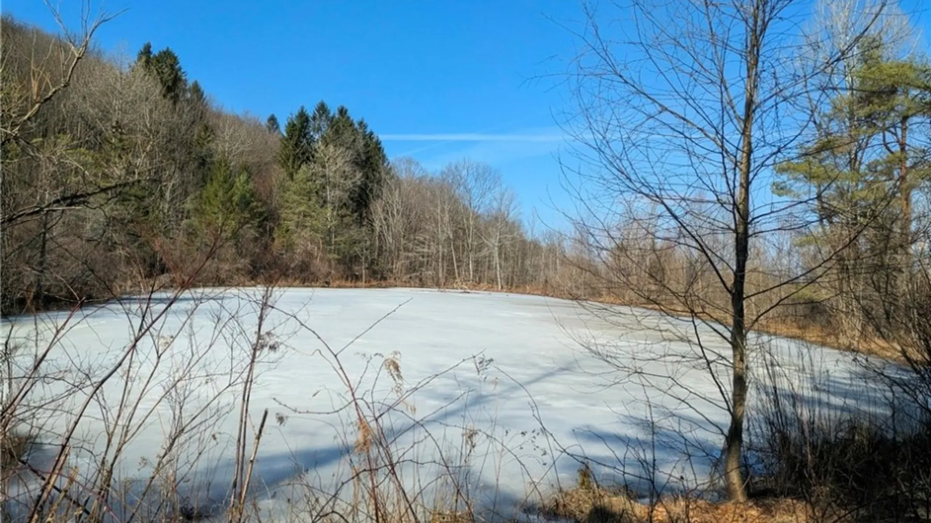 Property at 0 Old Seventy Six Road, Caroline, NY 14817 15