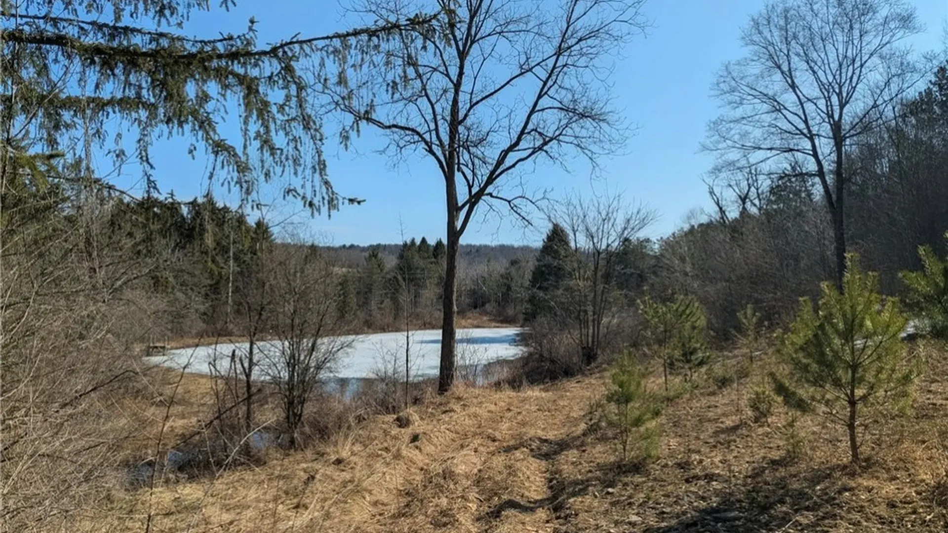 Property at 0 Old Seventy Six Road, Caroline, NY 14817 17