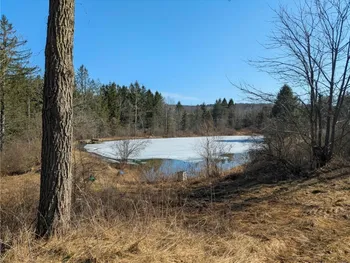 Property at 0 Old Seventy Six Road, Caroline, NY 14817
