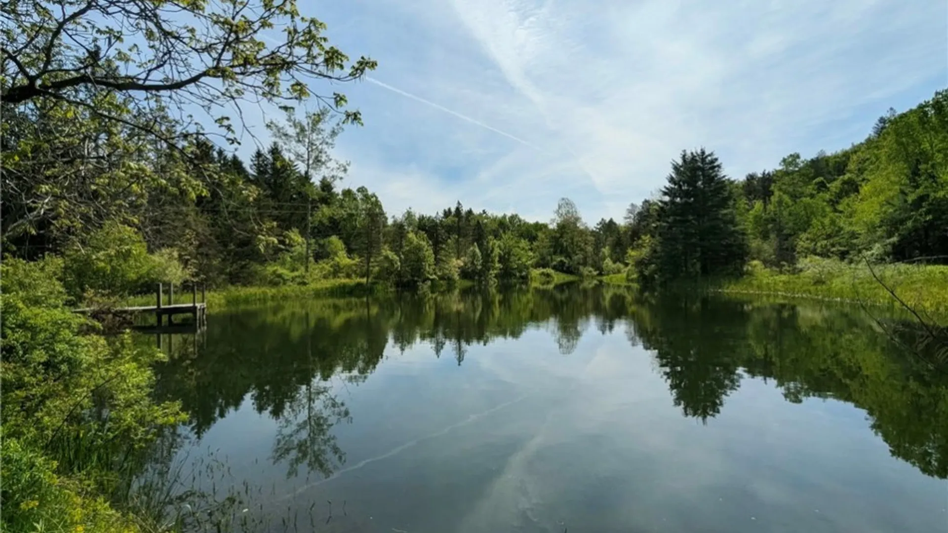 Property at 0 Old Seventy Six Road, Caroline, NY 14817 20