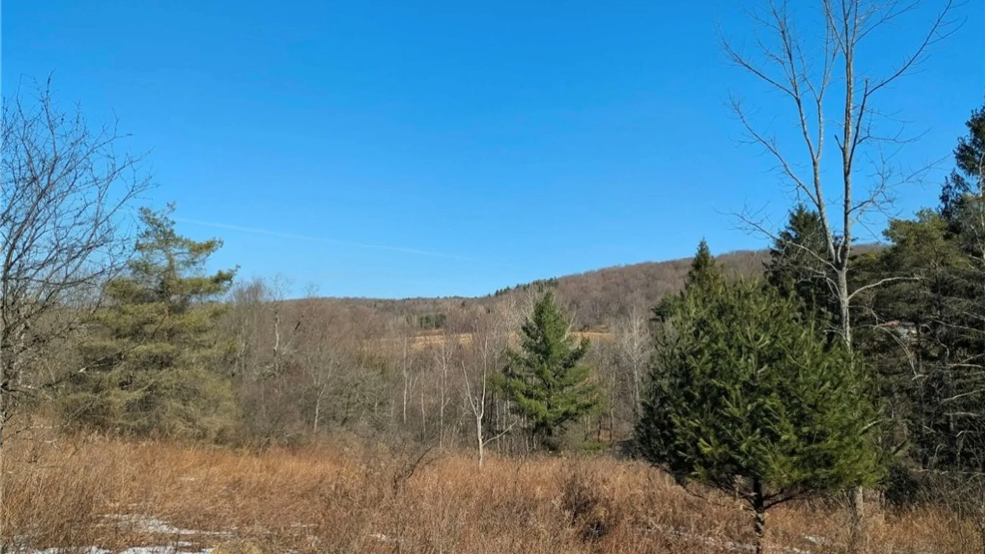 Property at 0 Old Seventy Six Road, Caroline, NY 14817 3