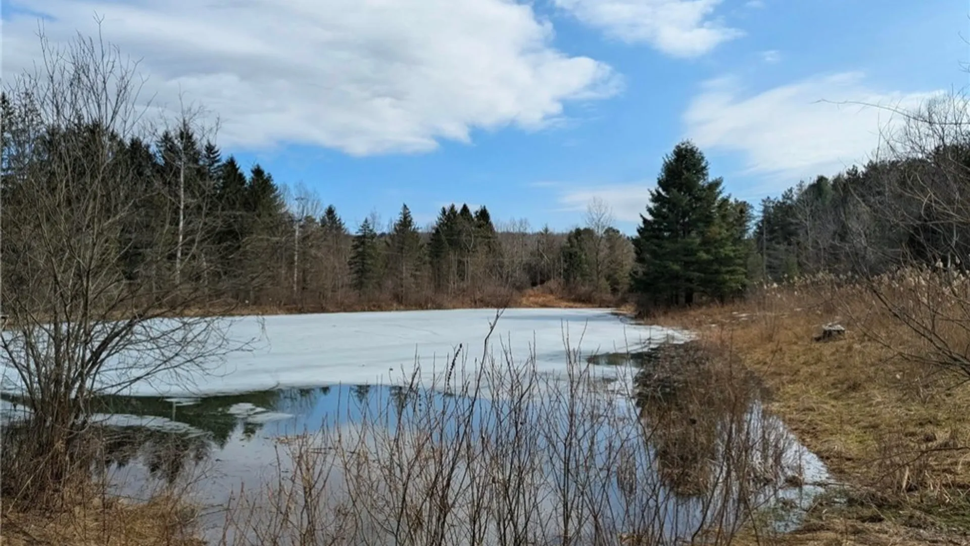 Property at 0 Old Seventy Six Road, Caroline, NY 14817 7