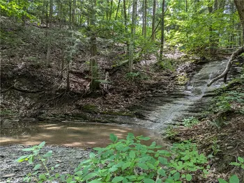 Elmira Road, Newfield, NY 14867