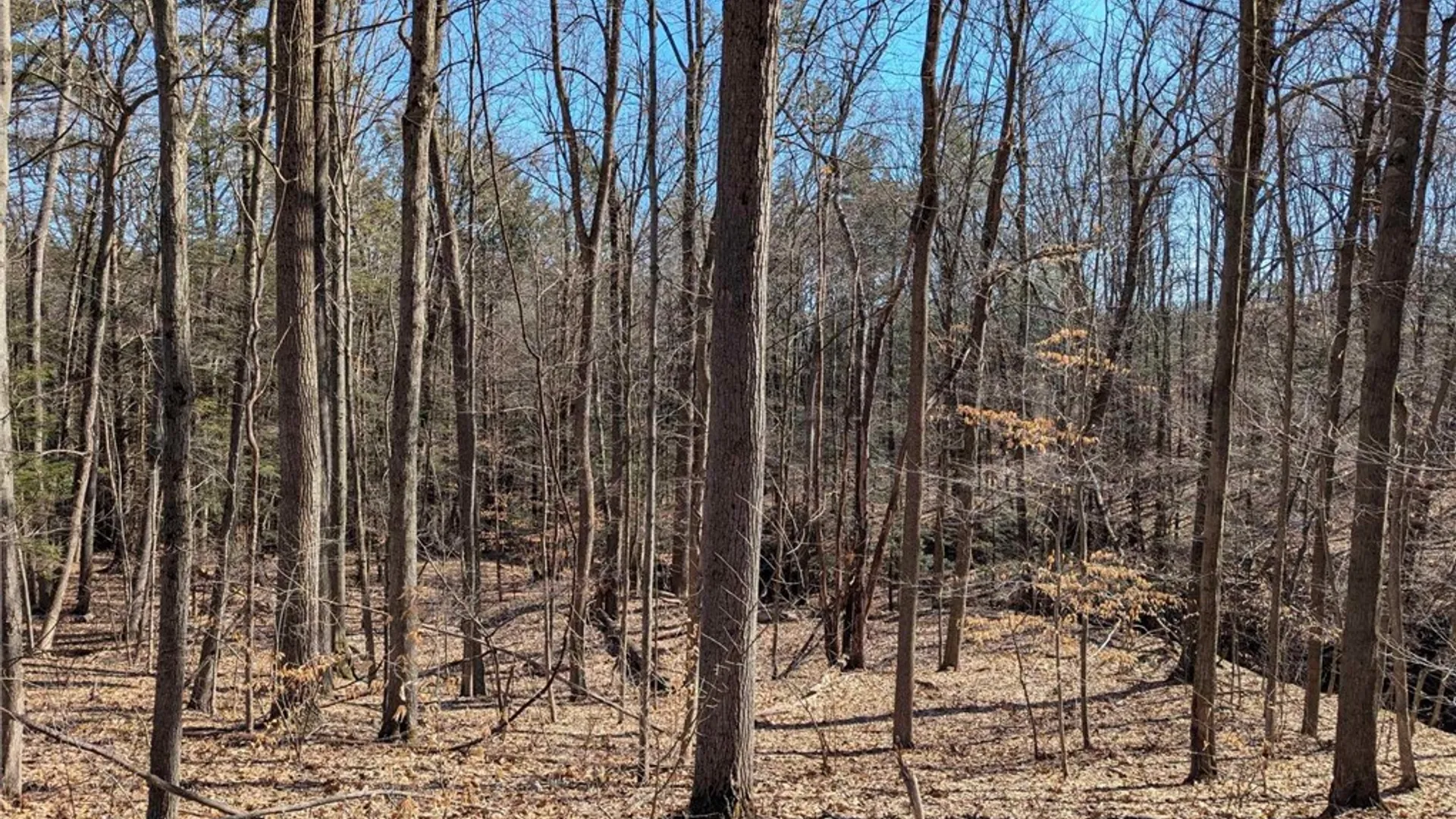 Property at Elmira Road, Newfield, NY 14867 2