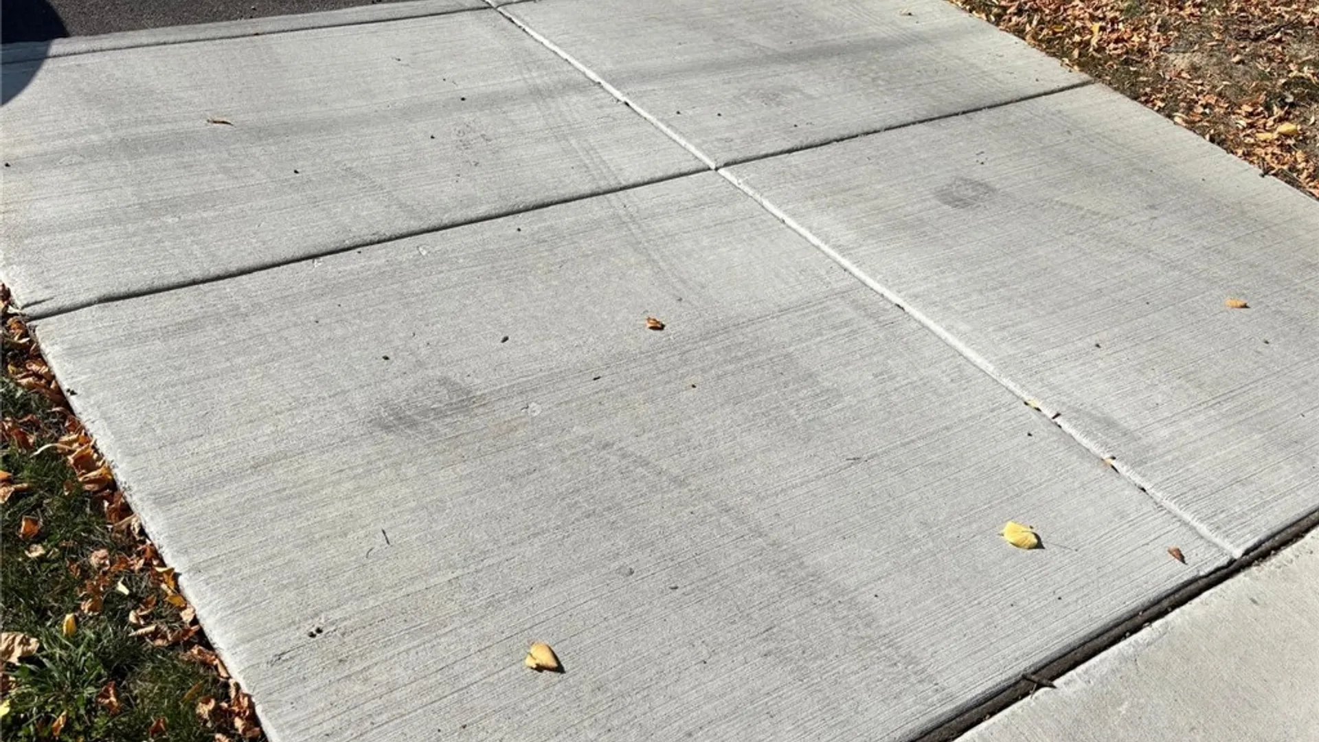 Property at 315 Cornwall Avenue, Buffalo, NY 14215 4