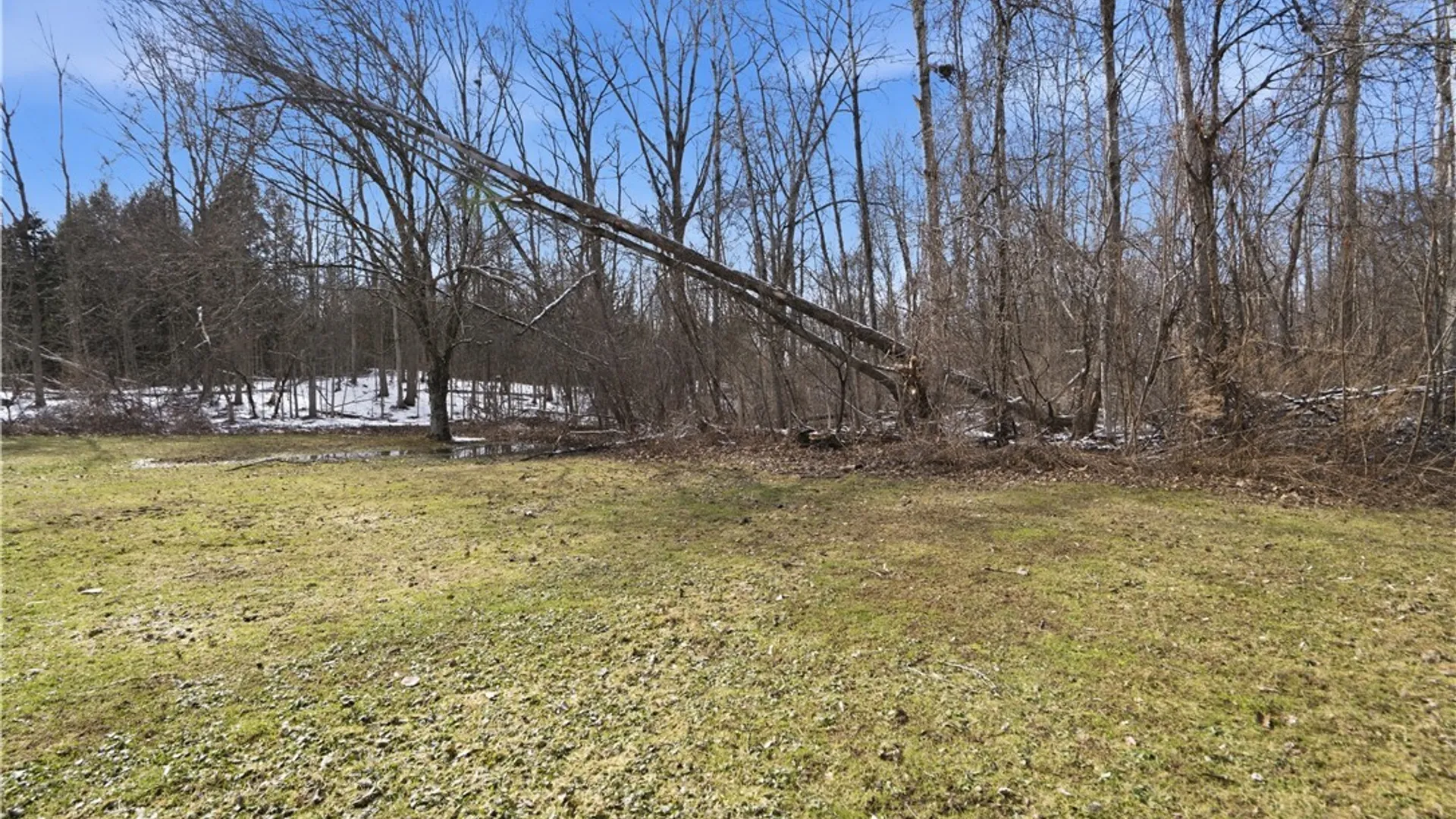 Property at 833 Cinko Drive, Frankfort, NY 13357 35