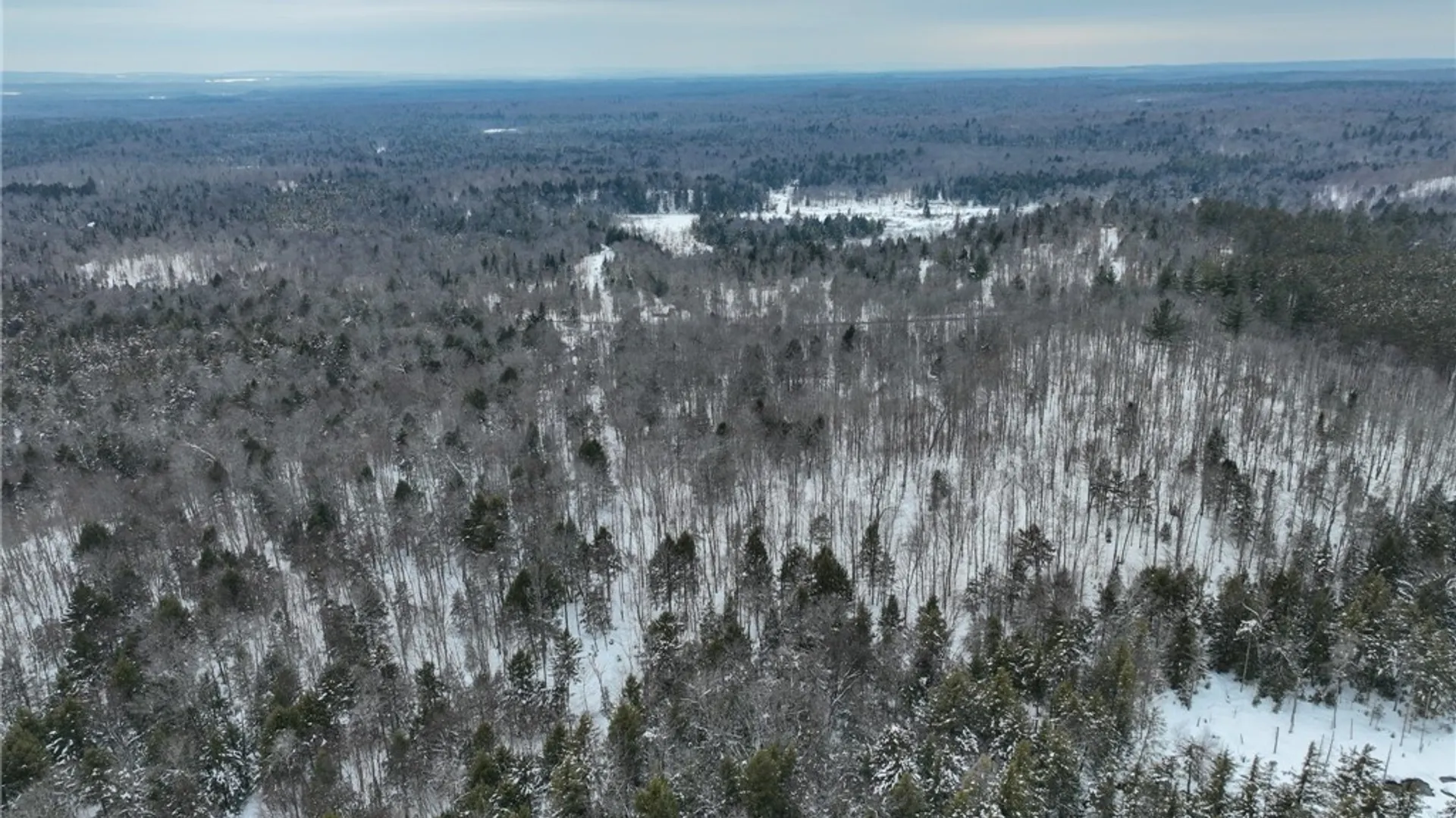 Property at Lot #3 Roberts Road, Remsen, NY 13438 15