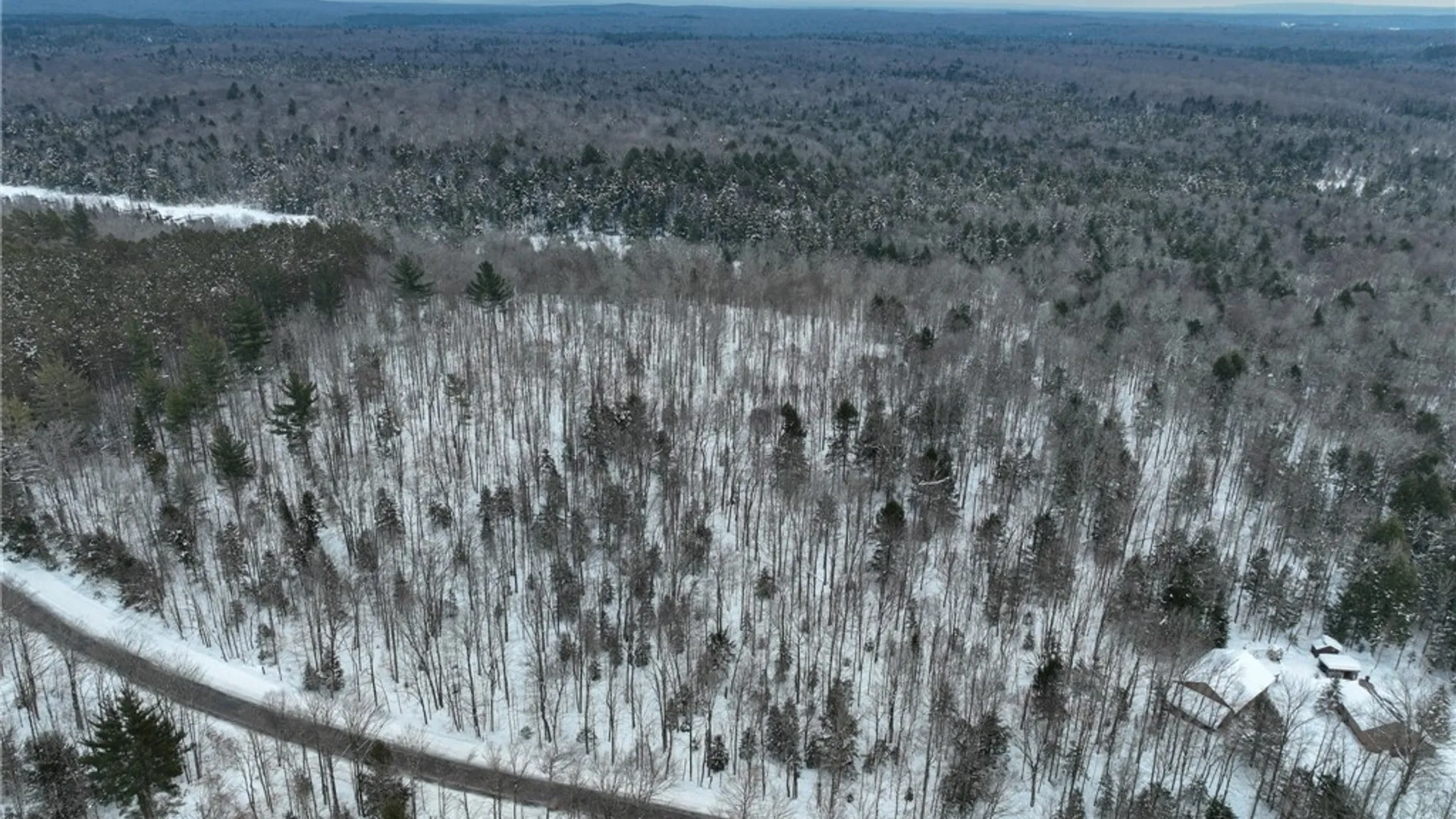 Property at Lot #3 Roberts Road, Remsen, NY 13438 16